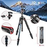 Manfrotto Befree Advanced Alu Reisestativ Twist (Drehverschluss) mit Kugelkopf,...