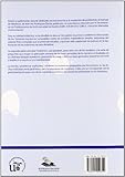 Image de Problemas de mecánica (Manuales Universitarios, Band 89)