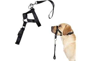 JKDHJK Hund Maulkorb, Weiche Nylon Maulkorb Einstellbar Atmungsaktiv Sicherer Professionelle Hundeleine Geeignet Verhindert Das Beißen, Kauen Und Bellen (Größe S)