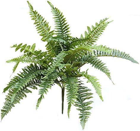 GIVESURPRISE Artificial Boton Fern 19-Inch Decor Plant Artificial Nephrolepis