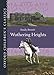 Wuthering Heights (Oxford Children's Classics): Wuthering Heights by 