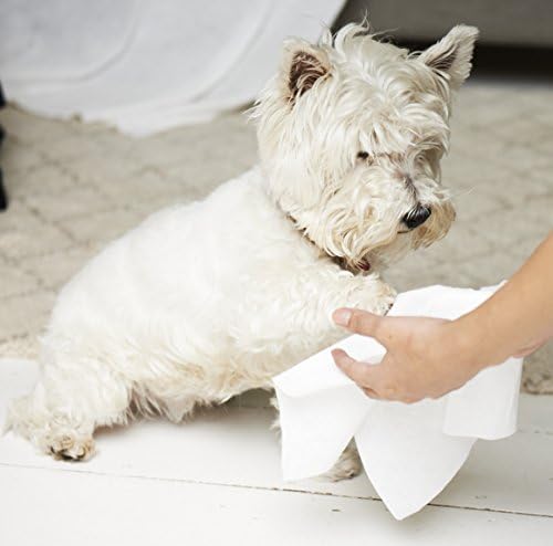 Easydry Disposable Pet Towels - box of 50 white towels
