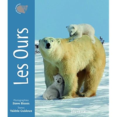 Les Ours Les Ours