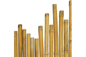 arredogiardini.it N° 25 Canne Bamboo bambù cm 300 x Ø mm 28-30 per Piante,Agricoltura,orto,arredi,strutture,Decorazioni