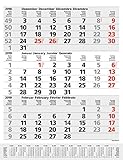 3-Monats-Planer Comfort Grau 260419 2019: 3-Monatskalender groß I Wandplaner / Bürokalender mit Datumsschieber, Vor-und Nachmonat und Jahresübersicht I 30 x 39 cm by 