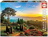 Incluye fix puzzle; para pegar el puzzle una vez montado