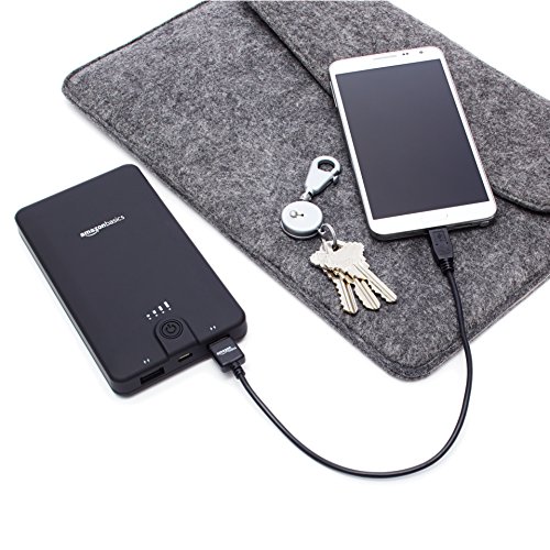 AmazonBasics Powerbank Externes Akkuladegerät, tragbar, 16.100 mAh - 10