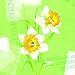 Produktbild Duni Zelltuch Serviette Spring Day 33x33 cm, 250er Pck., Duni Spring Day, Duni Servietten Spring Day