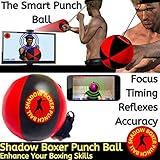 Shadow Boxer Punch Ball