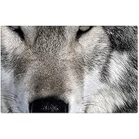 Suchergebnis Auf Amazon De Fur Dodenhof Oder Mobel Irocket
