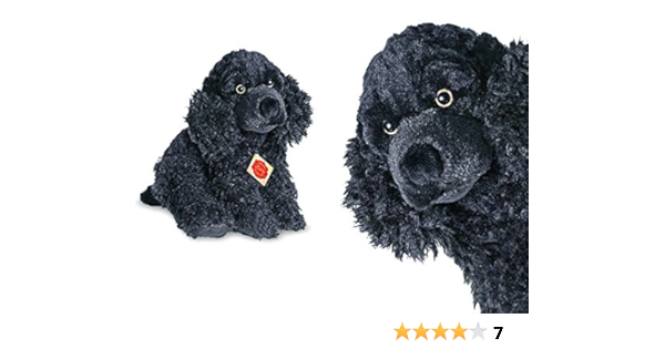 cocker spaniel toy dog