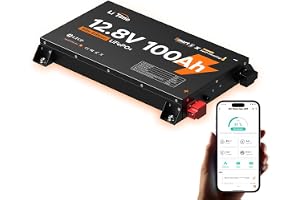 LiTime LiFePO4 12V 100Ah Slim Litiumbatteri för Husbil med Bluetooth | 6,2 cm Platt, Inbyggd Uppvärmning, Bluetooth, 100A BMS-Energilagring för Husbilar, Pickuper och Båtar