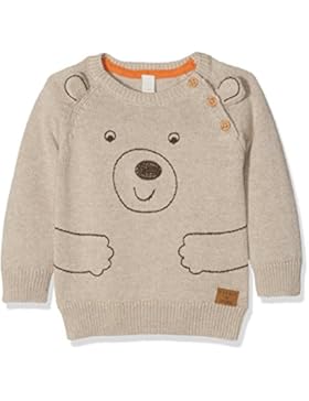 ESPRIT Baby-Jungen Pullover
