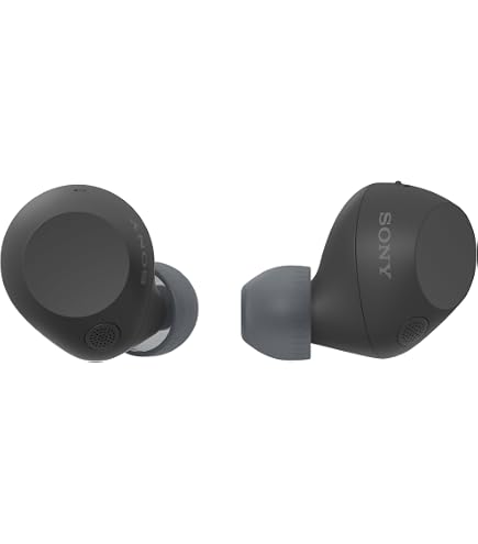 JH Audio ROXANNE UNIVERSAL IEM / SILVER CARBON : Amazon.in