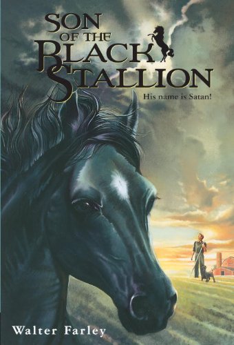 Son of the Black Stallion (English Edition)
