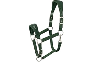 AK RIDING SPORTS AK Licol pour Cheval Doux et Rembourré Confort Supérieur avec Rembourrage, Sangles Réglables à la Muserolle et à la Nuque Licol Doux, Résistant et Sécurisé pour Chevaux 6070 (Vert forêt, Full/ (L))