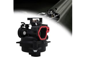 AnXin Carburador de Motocicleta Carb 799584 de 20 mm de plástico de Repuesto para O9P000 Modelo Briggs & Stratton Motor Dirt Pit Bike…