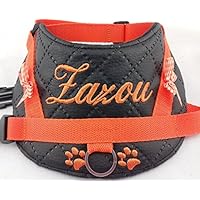 Hundegeschirr S M L Brustgeschirr mit Wunsch Namen bestickt Kunstleder gesteppt schwarz orange für kleine und mittelgroße Hunde