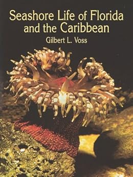 Seashore Life Of Florida And The Caribbean Dover