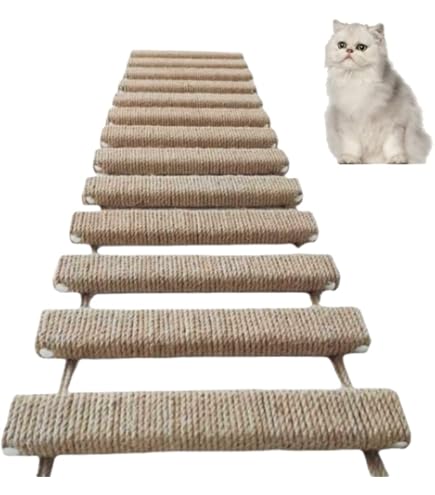 Medikratz Catwalk Kattenbrug, Hangbrug voor katten van hoogwaardig massief hout in verschillende lengtes, 50 cm - 200 cm (Natuurlijk) (100 cm
