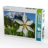 Hochwertige Passform durch präzise Stanzung