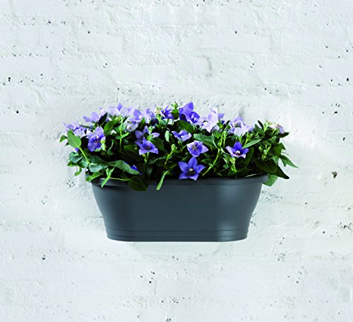 elho Corsica Wandampel 39cm – Anthrazit - 3