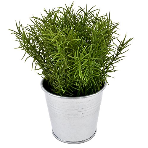 Pflanze Gras im Topf Kunstblume 16x14x6cm grün Kunstpflanze