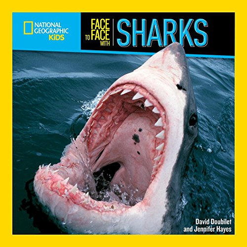 Preisvergleich Produktbild Face to Face with Sharks (Face to Face with Animals)