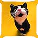 Produktbild KarilShop black white tuxedo cat kitten curious playful kitty pet yellow Linen Throw Pillow Case Cushion Cover Home Sofa Decorative 18 X 18 Inch.