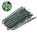 Produktbild ICYANG 100 stücke 6,7" Einstellbare Kunststoff Pflanze Krawatten für Garten Klettern Baum Shrut Rebe Unterstützung, Flexible Kunststoff Kabelbinder, wiederverwendbare, grün