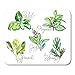 Produktbild Luancrop Mauspads Grünes Aroma-Aquarell-Sammlung frischer Kräuter-Basilikum-Rosmarin-Oregano-Salbei-Spinat-Gegenstand-Weiß-Mausunterlage für Notizbücher, Tischrechner-Mausunterlagen, Bürozubehöre