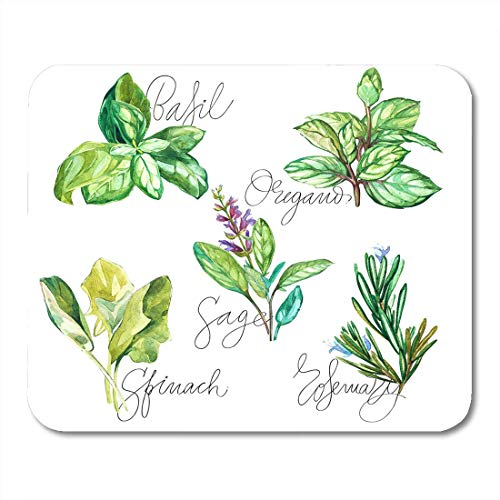 Preisvergleich Produktbild Mauspads Grünes Aroma-Aquarell-Sammlung frischer Kräuter-Basilikum-Rosmarin-Oregano-S... für Notizbücher, Tischrechner Mauspads