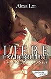 Liebe unwiderruflich (Jäger der Dessla)