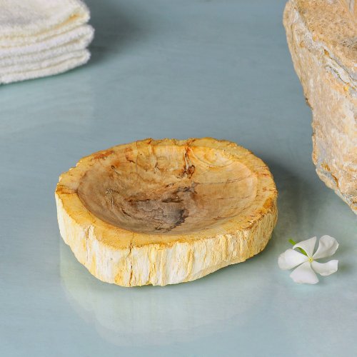 Wohnfreuden Seifenschale aus versteinertem Holz - 2
