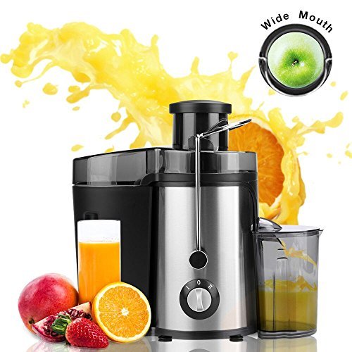 Homdox Entsafter Edelstahl Juicer Extractor Elektrisch Automatisch, 2 Geschwindigkeiten, für Obst und Gemüse mit Saftbehälter, 350 Watt