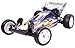Produktbild Tamiya 300058344 - 1:10 RC Desert Gator 2WD Buggy DT-02, Fahrzeug