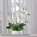 Produktbild DSAAA Künstliche Blume Kunststoff Keramiktöpfen Orchidee Set Kunstblumen Wohnkultur,Weiß