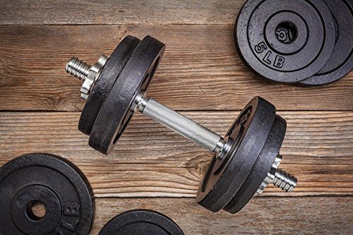 2x Hantelscheiben aus 100% Gusseisen in 1,25kg 2,5kg 5kg oder 10kg / 30mm Bohrung / Mattschwarz idealder für Langhantel oder Kurzhantel - 4