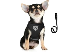FEimaX Dog Harness and Leash Set, No Pull Adjustable Puppy Harness with Reflective Strip, Escape Proof Kitten Step-in Vest Fit Small Dogs Cats
