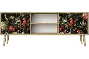 HEALANCY BIOMEDICAL HEALANCY Mobile TV Mobile Porta Televisore a 2 ante Tavolo da Soggiorno TV Soggiorno Armadio Moderno per TV Porta TV con mobili contenitori Mensola TV Design moderno