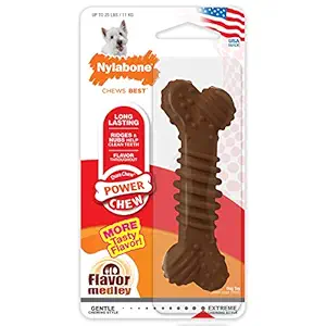 Nylabone Dura Chew Regular Chicken Flavored Bone Dog Chew Toy