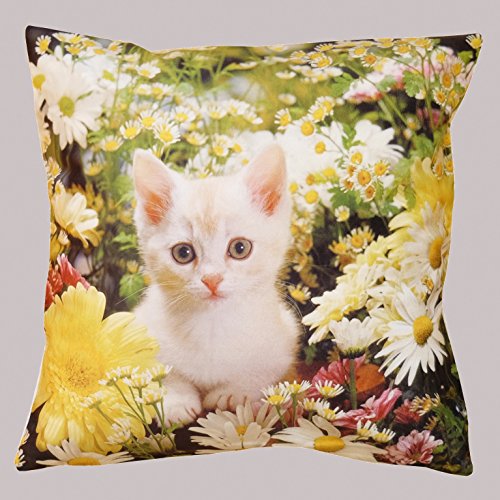 Bezaubernder Kissenbezug " SWEET LITTLE CAT " mit einer kleinen süssen Katze in einer Blumenwiese - trendiger Fotoprint - Größe Kissenhülle 40 x 40 - aus Kurzplüsch - sehr weich und anschmiegsam - ein absoluter EYECATCHER - hier im KAMACA-SHOP sind auch weitere Fotodruck - Kissen erhältlich