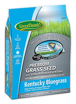 Preisvergleich Produktbild DLF GT 3LB KY BLU Seed GREUN210 by Farmerly