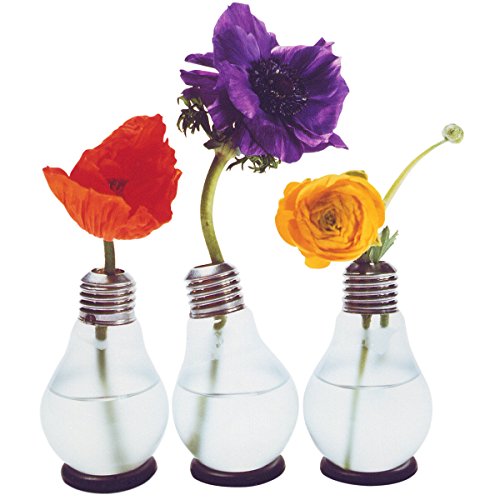 Blühbirne – Glühbirnenvase - 2