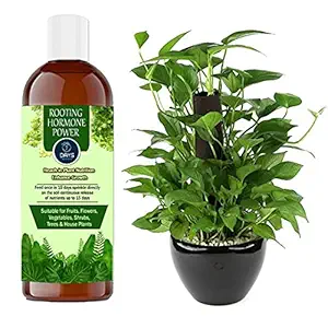 7 Days Fast Root Dry Powder Rooting Hormone for Plant Grow Nutrition 500 ML