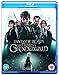Fantastic Beasts: The Crimes of Grindelwald [Blu-ray] [2018]
