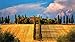 Produktbild Malen Nach Zahlen Siena Toskana DIY Unique Gift Handpainted Oil Painting for Home Wall Decor Artworks Frameless