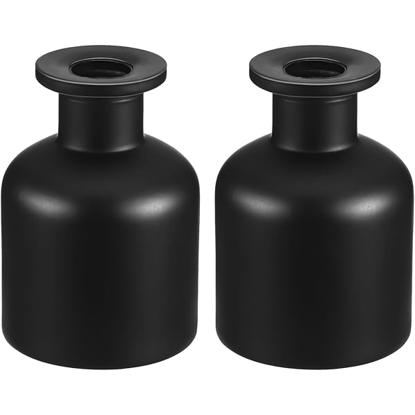 T&Cx Lot De 120 Bâtonnets Diffuseur D'huiles Essentielles En Rotin Naturel De 25 Cm Pour La Maison, Le Bureau (couleur Naturelle