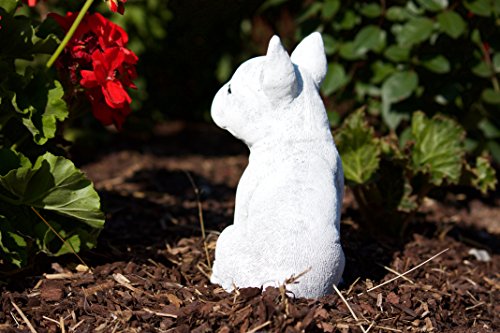Steinfigur französische Bulldogge Dogge Hund, Frost- und Wetterfest, handgearbeitet - 5