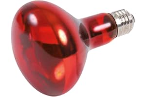 TRIXIE Lampada Spot Infrarossi Riscaldante 100W per Rettili Articoli per Animali, 1 unità (Confezione da 1)